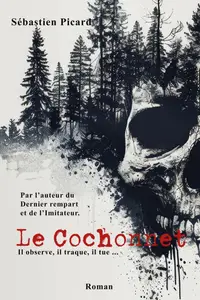 Sébastien Picard, "Le cochonnet"