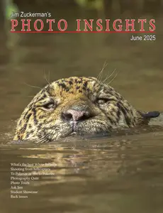 Photo Insights - June 2025