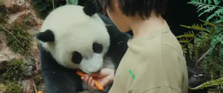 Moon le panda (2025)