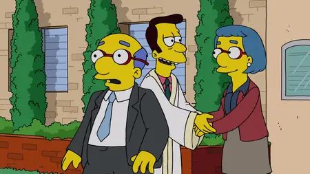 The Simpsons S36E17