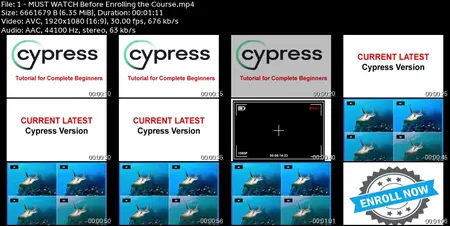 Cypress V14.3.2 -Docker + Cucumber + Jenkins -MAY'25 Course