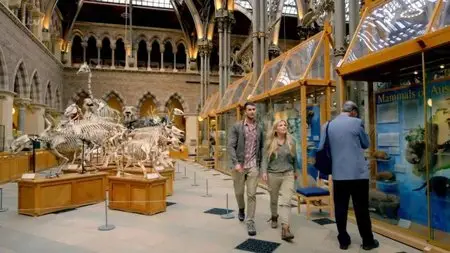 ITV - Dinosaur Britain (2015)