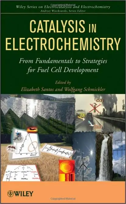 Catalysis in Electrochemistry: From Fundamental Aspects to Strategies for Fuel Cell Development (repost)