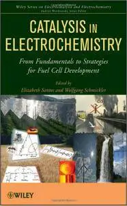 Catalysis in Electrochemistry: From Fundamental Aspects to Strategies for Fuel Cell Development (repost)