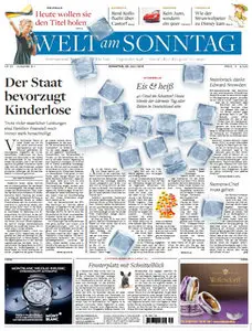 Die Welt am Sonntag 28 Juli 2013