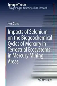 Impacts of Selenium on the Biogeochemical Cycles of Mercury in Terrestrial Ecosystems in Mercury Mining Areas