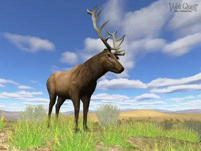 Wolfquest - Survival (2010/ENG)