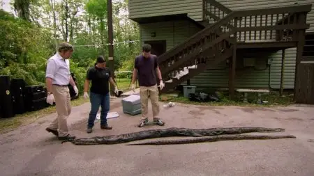Ch4 Inside Natures Giants - Monster Python (2010)