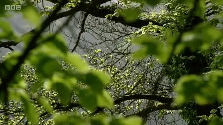 Natural World S37E07