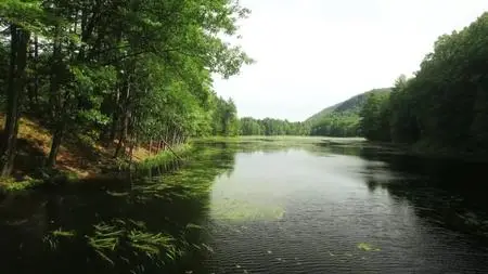 When Nature Calls with Helen Mirren S01E05