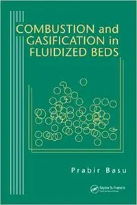 Combustion and Gasification in Fluidized Beds (Repost)