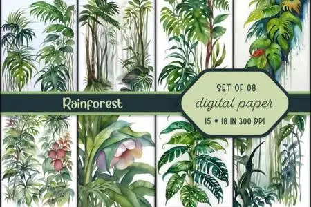 Amazing Watercolor Rainforest Illustrations Pack