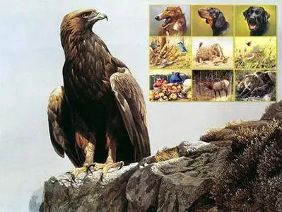 Animals and Natures Artworks