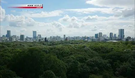 NHK - Meiji Jingu Forest: A 100-Year Experiment (2015) [Repost]