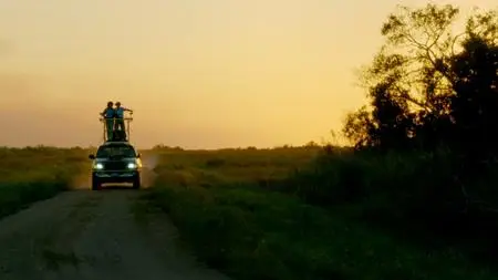 PBS - NATURE: Wild Florida (2020)