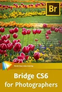 Video2Brain - Bridge CS6 for Photographers (2012)