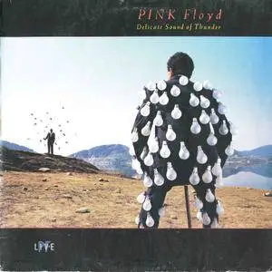 Pink Floyd: Discography (1967 - 2014) [Vinyl Rip 16/44 & mp3-320] Re-up