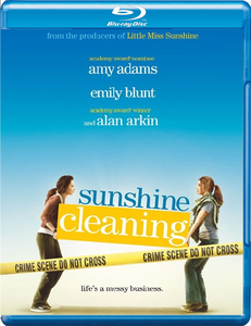 Sunshine Cleaning (2008)
