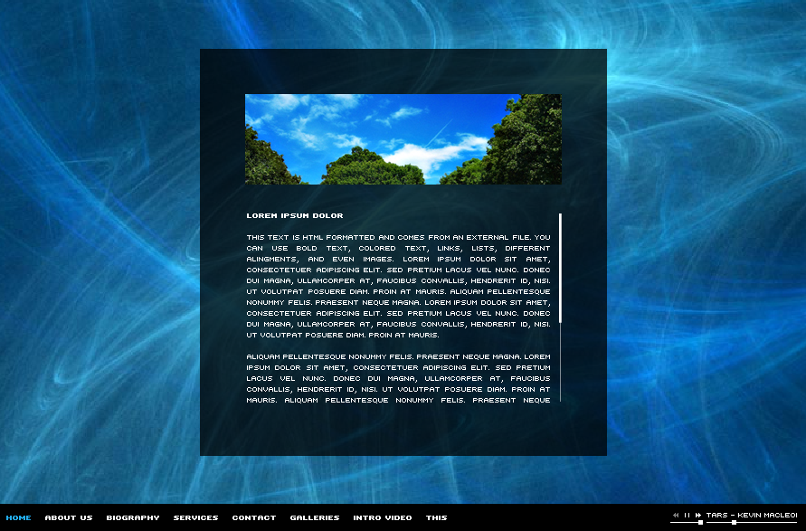 Organic Template Image Video Gallery Portfolio