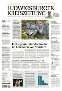 Ludwigsburger Kreiszeitung LKZ  - 29 November 2022