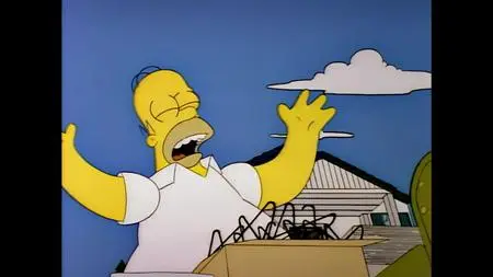 Die Simpsons S04E08