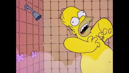 Die Simpsons S06E16
