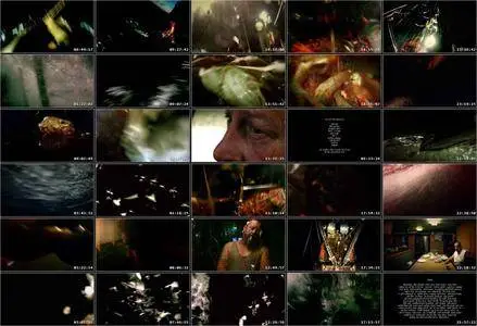 Leviathan (2012)
