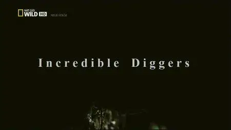 National Geographic - Incredible Diggers (2016)
