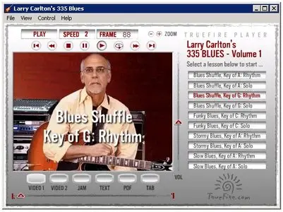 Larry Carlton Master Class 335 Blues (2011) [Repost]