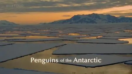 BBC Natural World - Penguins of the Antarctic (2006)