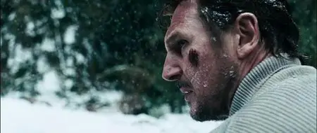The Grey (2011)
