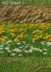 Mentor Plants HQ Grass [repost]