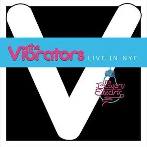 The Vibrators - Live in NYC (At Bowery Electric) (2020) [Official Digital Download 24/96]