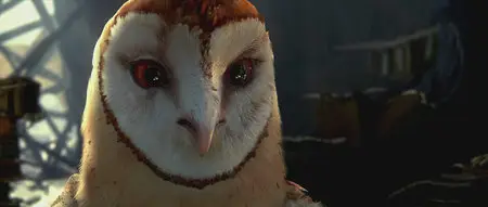 Legend of the Guardians: The Owls of Ga'Hoole / Легенды ночных стражей (2010)