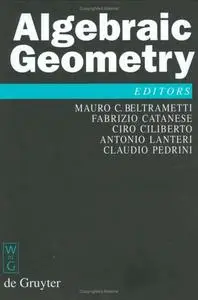 Algebraic Geometry
