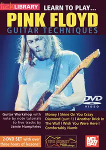 Lick Library - Learn To Play Pink Floyd (2 Disc) | 1GB-MKV