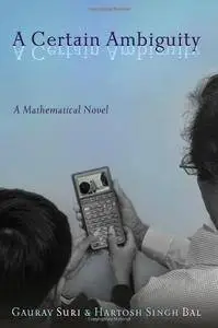 A Certain Ambiguity: A Mathematical Novel (repost)