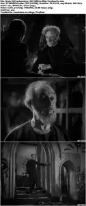 Bride Of Frankenstein (1935)