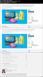 Udemy - Work From Home Making Money Online Buying Penny Stocks Now!