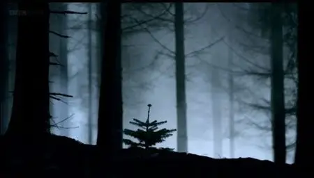 BBC - The Fir Tree (2013)