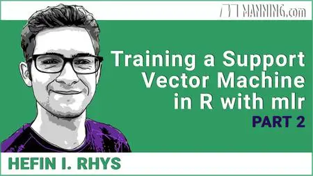 Training a Support Vector Machine in R with mlr, Part 2