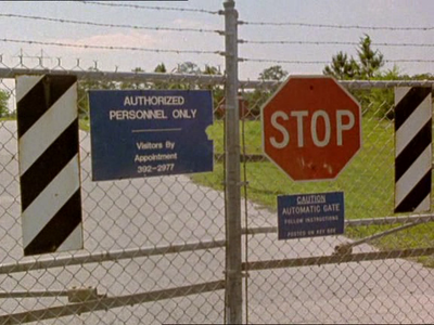 The Animals Film (1981)
