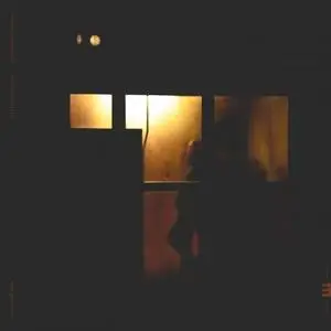 Sachal Vasandani & Romain Collin - Midnight Shelter (2021)