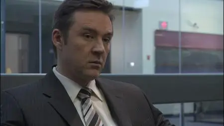 The Accidental Witness (2006)