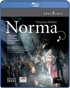 Julian Reynolds, Netherlands Chamber Orchestra - Bellini: Norma (2008) [Blu-Ray]