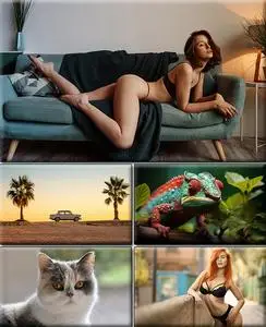 Computer Desktop Wallpapers Collection. Part (2961)