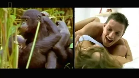 National Geographic - Ape Man (2013)
