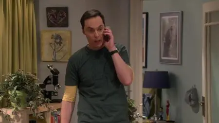 The Big Bang Theory S11E13