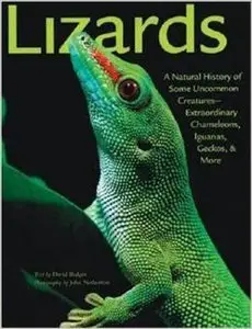 Lizards: A Natural History of Some Uncommon Creatures:Extraordinary Chameleons, Iguanas, Geckos, & More by David Badger