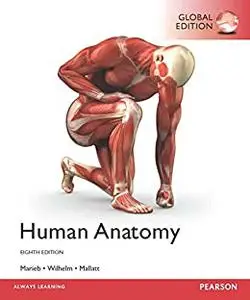 Human Anatomy, (Global 8th Edition) (repost)